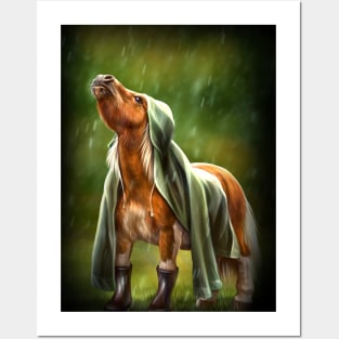 Pony in a raincoat. Posters and Art